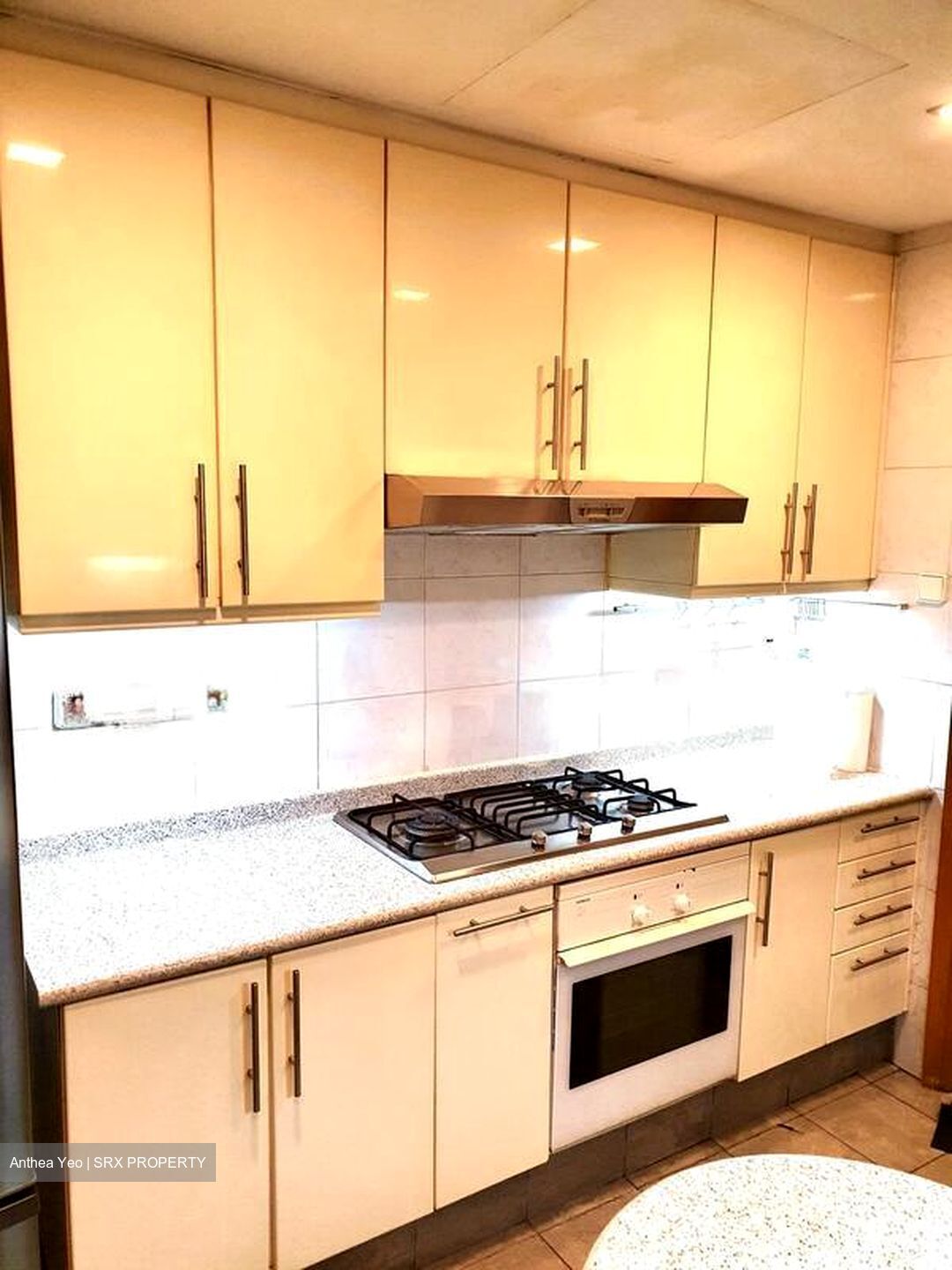 Thomson 800 (D11), Condominium #504310941